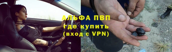 спиды Богородск