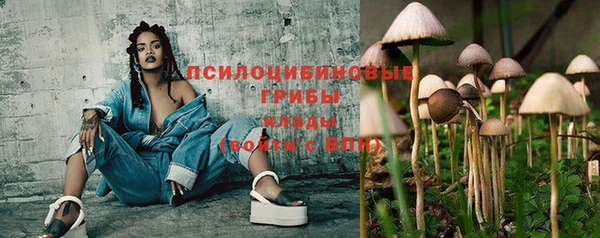 мескалин Богданович