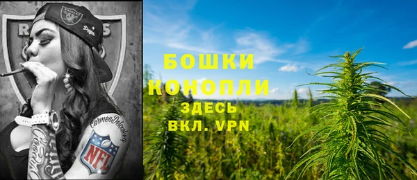 спиды Богородск