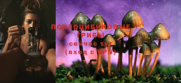 мескалин Богданович