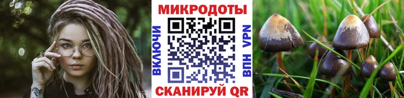 KRAKEN сайт  где купить наркотик  Каневская  Галлюциногенные грибы мицелий 