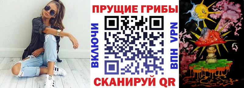 Псилоцибиновые грибы Psilocybe Каневская